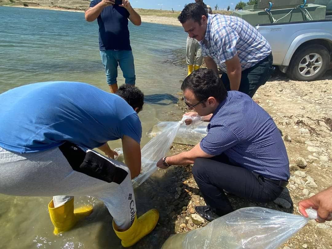 Türkiye'nin Balığı İpsala'dan