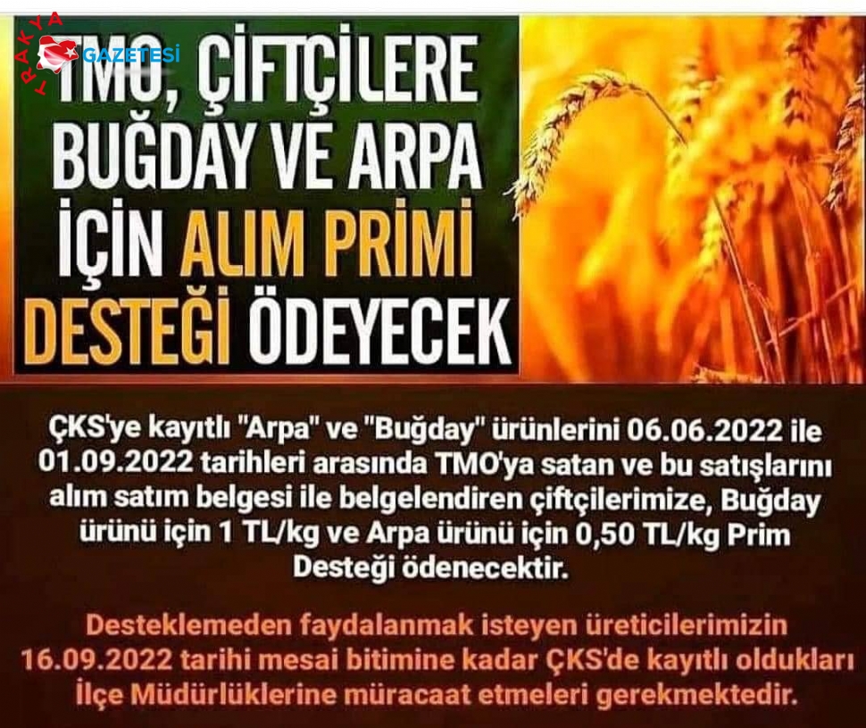 Buğday Ve Arpaya TMO Alım Primi Desteği Verecek