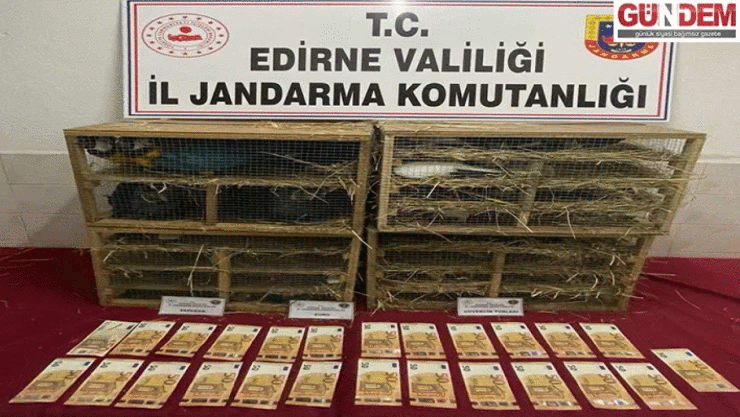 Jandarmadan Kaçakçılığın Önlenmesine Yönelik Çalışma