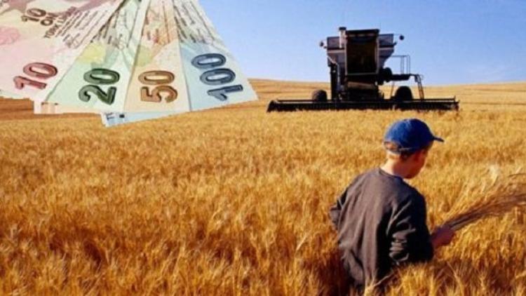 Genç Çiftçi Projesi'ne 259 Kişi Başvurdu