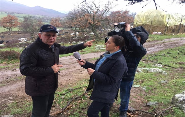 Boz ırk inekleri ulusal medya’da