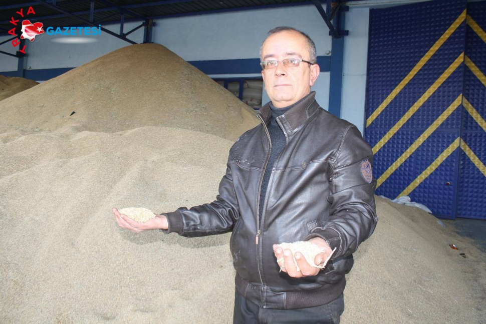 Balcılar, kalitesiz pirinç ithal edilmesine tepki gösterdi.