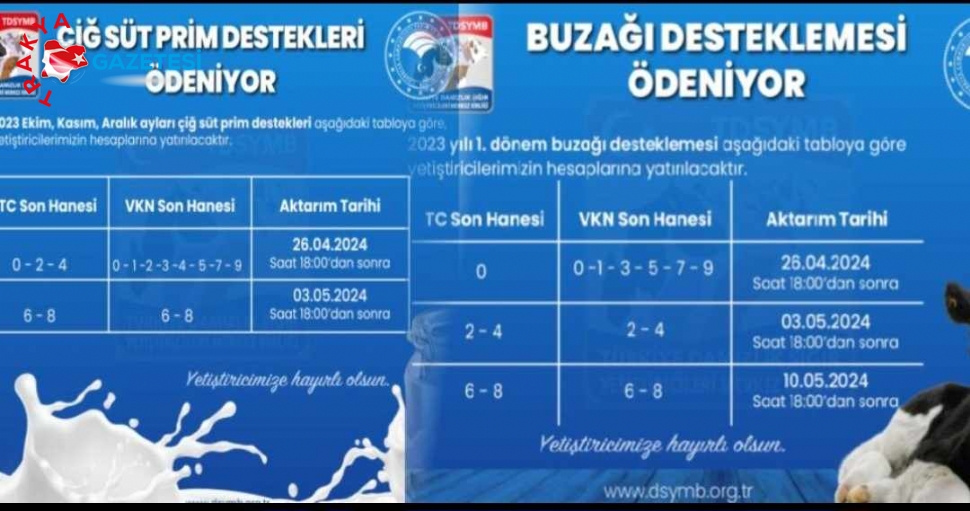 Çiğ Süt Prim Desteği ile 1. Dönem Buzağı Desteği Ödemelerine Başlandı