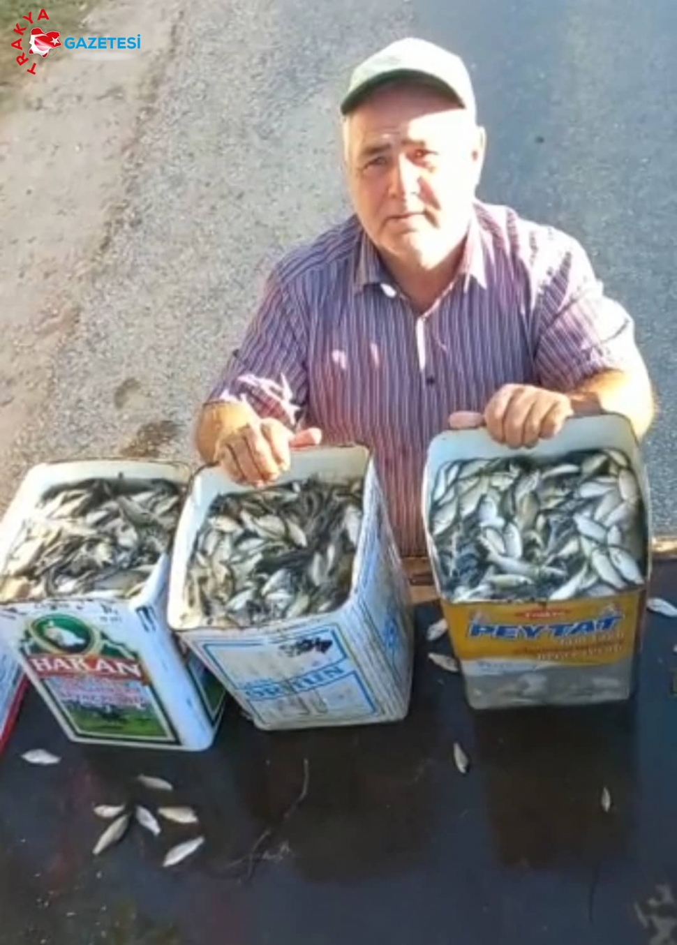 15 Bin Balığı Baraja Bıraktı