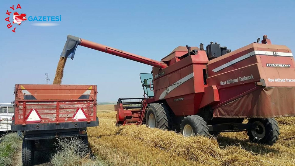 Buğday hasadı, geceli gündüzlü devam ediyor