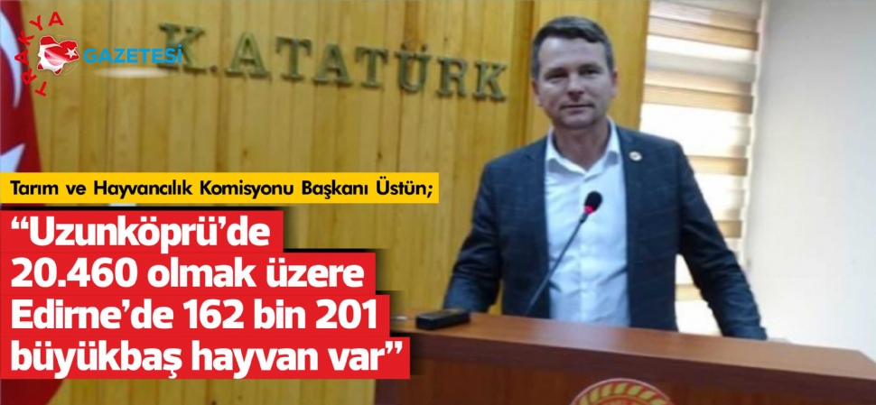 İpsala’da 27.499 Adet Büyükbaş Hayvan Bulunuyor.