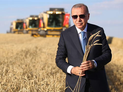 Cumhurbaşkanı Erdoğan buğday ve arpa alım fiyatlarını açıkladı