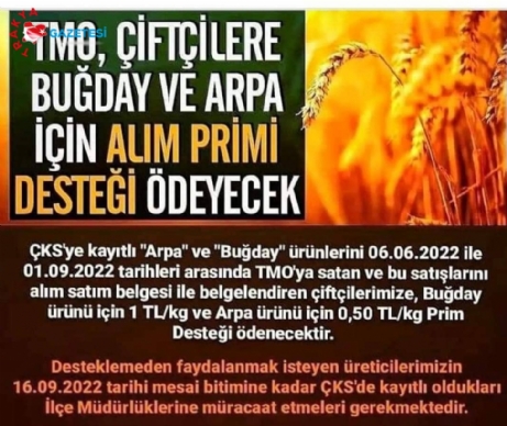 Buğday Ve Arpaya TMO Alım Primi Desteği Verecek