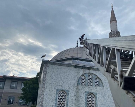 Yere Düşen Leylek Yavrusu Yuvasına Konuldu.