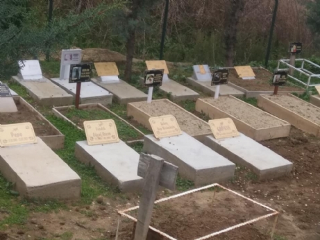 Onlar İçinde Mezarlık Var!
