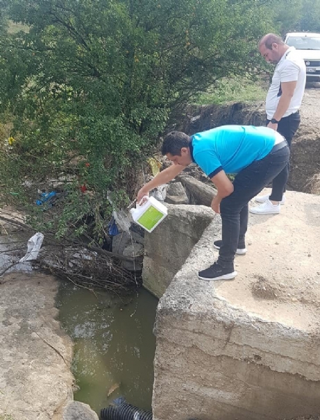 İpsala Toplum Sağlığı Merkezi’nden ‘Sıtma’ Savaşı