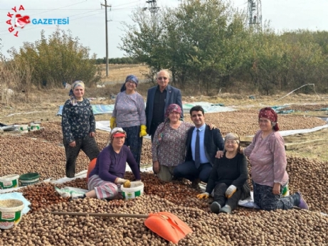 Sevgili, Ceviz Hasat Alanlarını Ziyaret Etti.