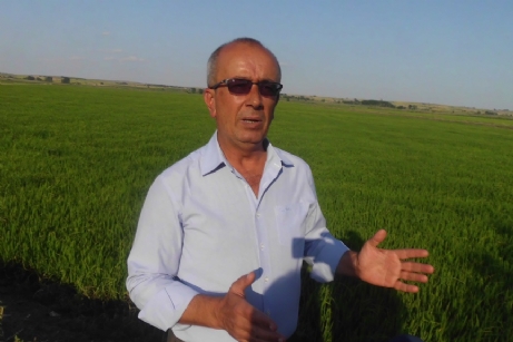 2020 yılında verim kaybı yaşandı