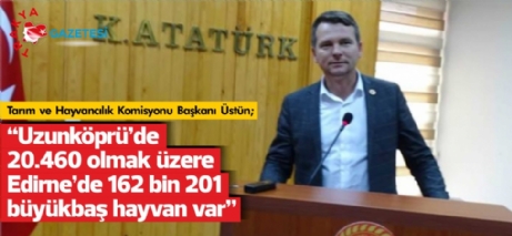 İpsala’da 27.499 Adet Büyükbaş Hayvan Bulunuyor.